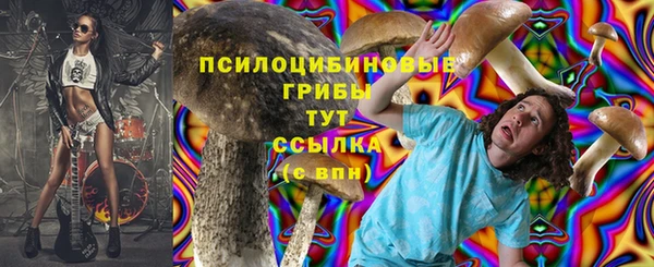 мет Карпинск