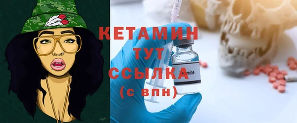соль ск Каменка