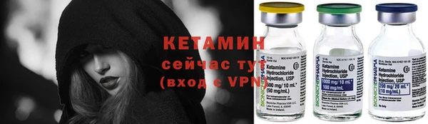 стаф Каменногорск