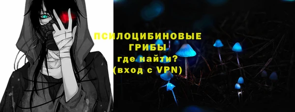 мет Карпинск