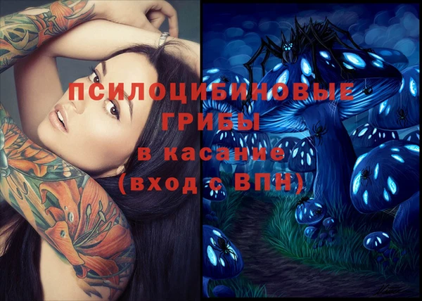 мет Карпинск